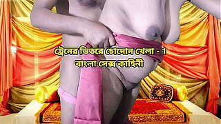 ট্রেনের ভিতরে আমাকে ন্যাংটো করে চুদে আমার ভোদা ফাটালো
