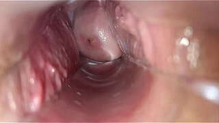 orgasmo vaginal