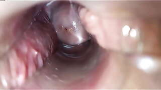 orgasmo vaginal